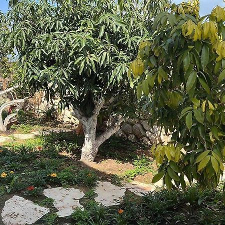 אחוזת היניבים Yaniv Estate Villa Nurit Exterior photo